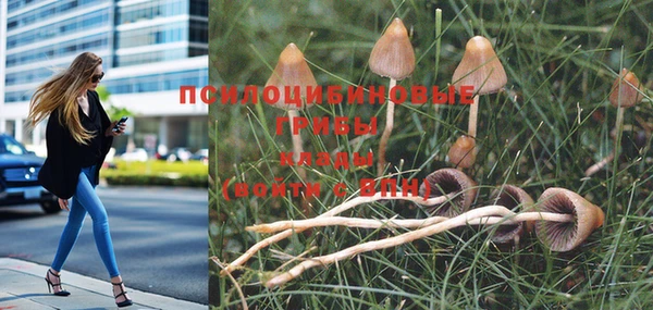 гидропоника Верхний Тагил
