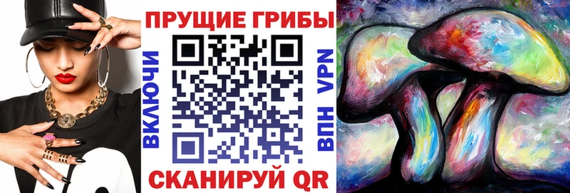 хочу   Карталы  нарко площадка какой сайт  Псилоцибиновые грибы Psilocybe 
